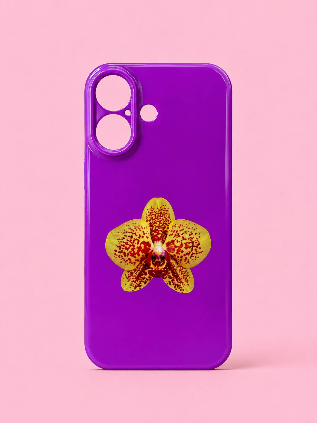 Green Orchid