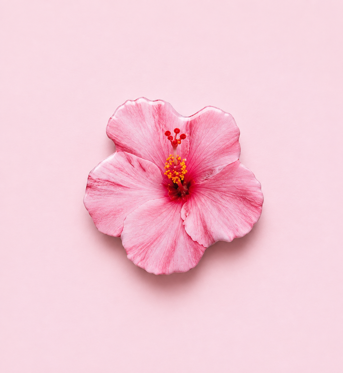 Hibiscus Pop Socket